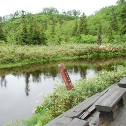 長野県小谷村・栂池高原