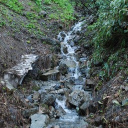 長野県小谷村・栂池高原
