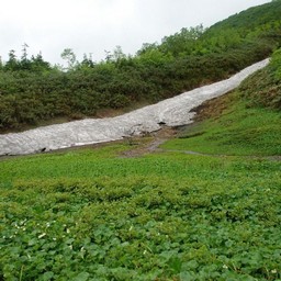 長野県小谷村・栂池高原
