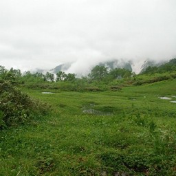 長野県小谷村・栂池高原