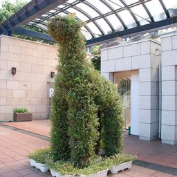 千葉市・動物公園・キリン