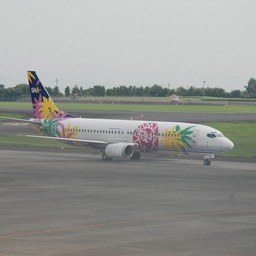 鹿児島市・鹿児島空港