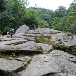屋久島・白谷雲水峡
