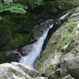 屋久島・白谷雲水峡