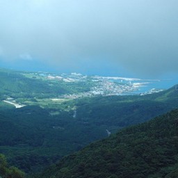 屋久島・白谷雲水峡