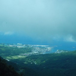屋久島・白谷雲水峡