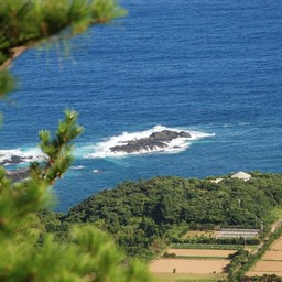 屋久島・尾之間