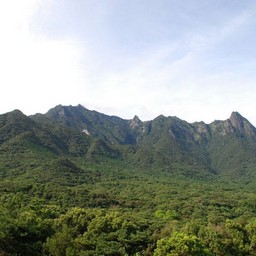 屋久島・尾之間