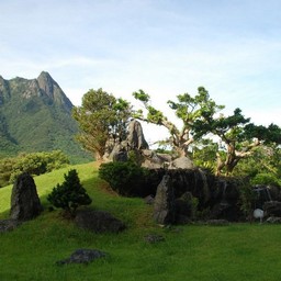 屋久島・尾之間