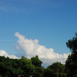 屋久島・尾之間