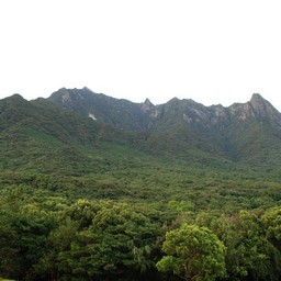 屋久島・尾之間
