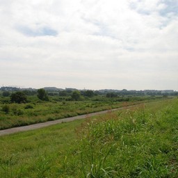 三郷市・江戸川