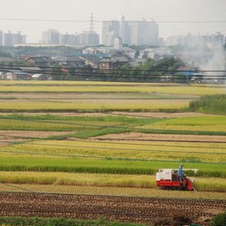 三郷市・江戸川