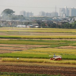 三郷市・江戸川
