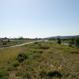高崎市・烏川