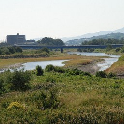 高崎市・烏川