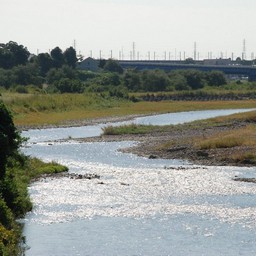 高崎市・烏川
