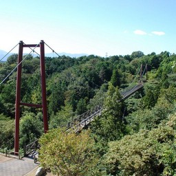 高崎市・観音山・ひびきばし