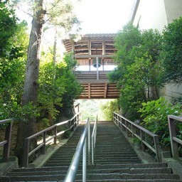 高崎市・少林山達磨寺