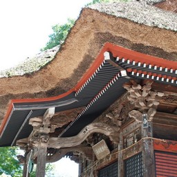 高崎市・少林山達磨寺