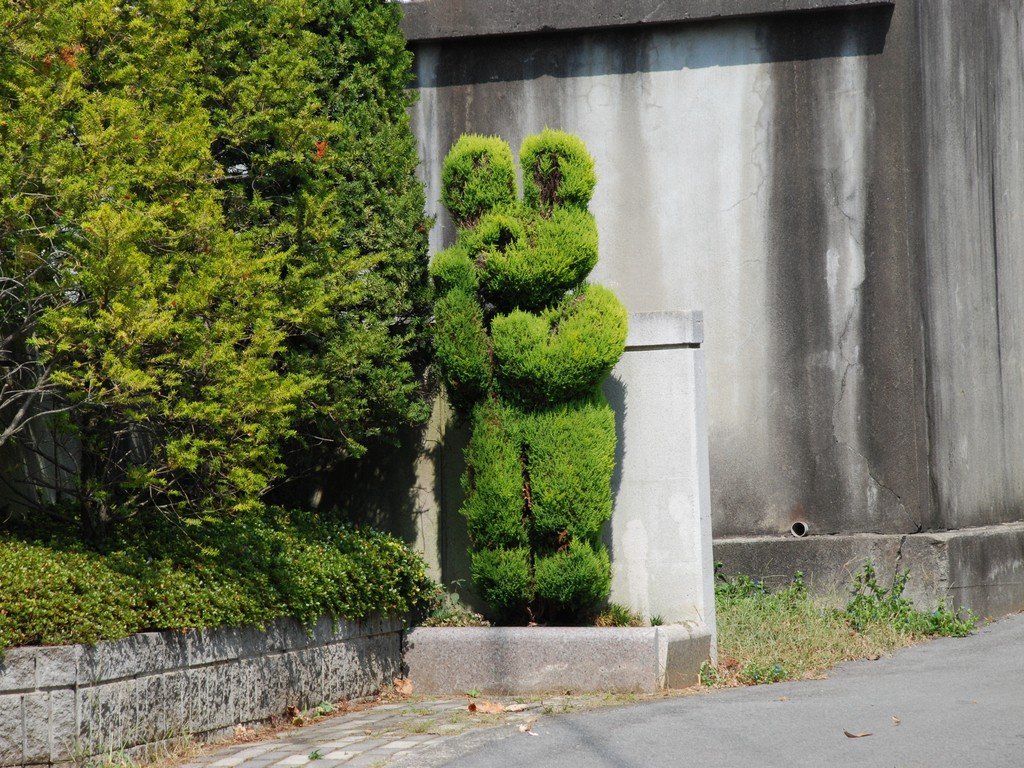 Rb{sEԂǂ - ii{j - ʐ^f - ݃{