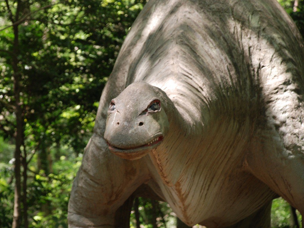 ʌRsEʌǂR - ii{j - ʐ^f - ݃{