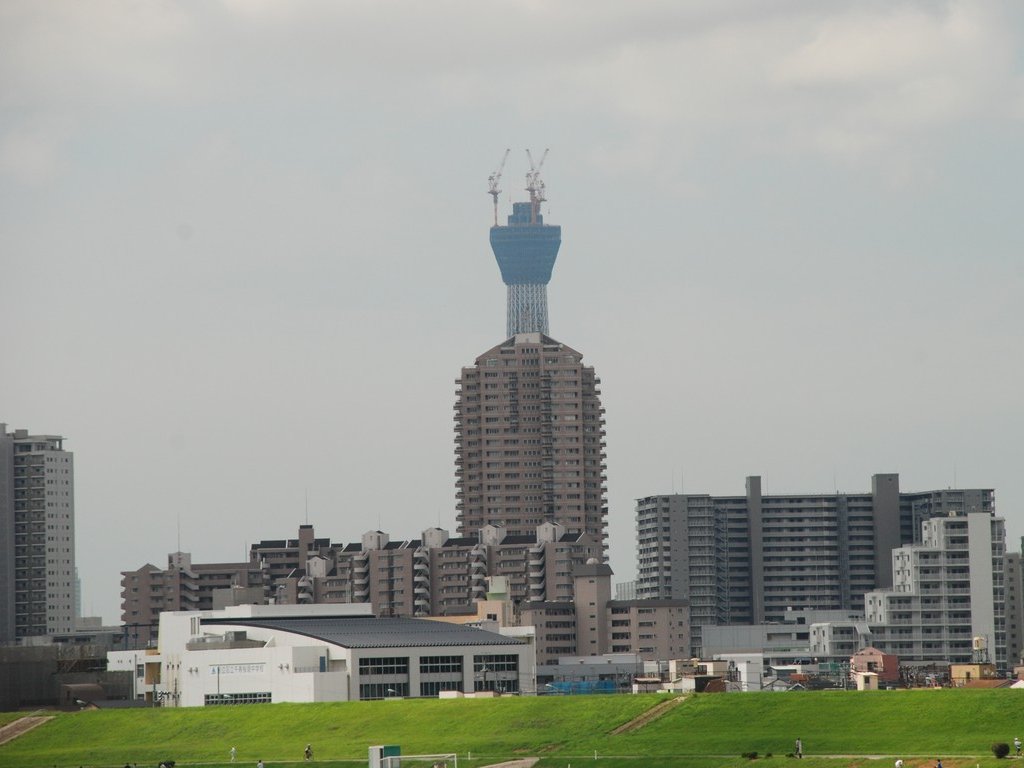 sEr쉈猩XJCc[(398m) - ii{j - ʐ^f - ݃{