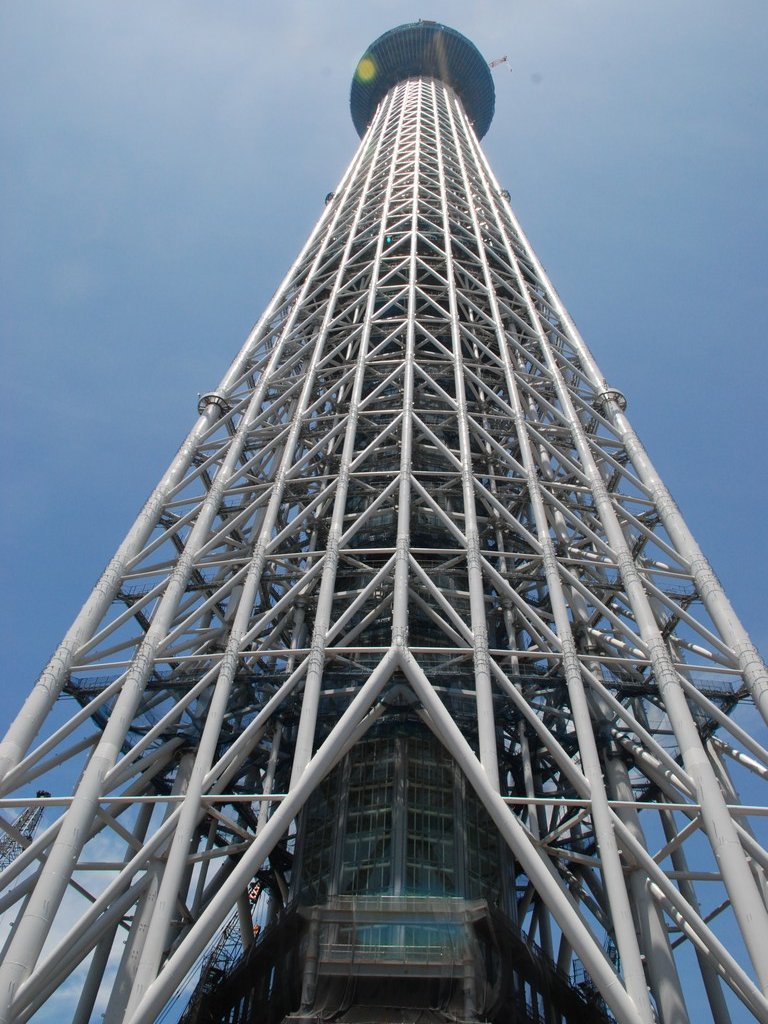 sncEXJCc[(398m) - ii{j - ʐ^f - ݃{