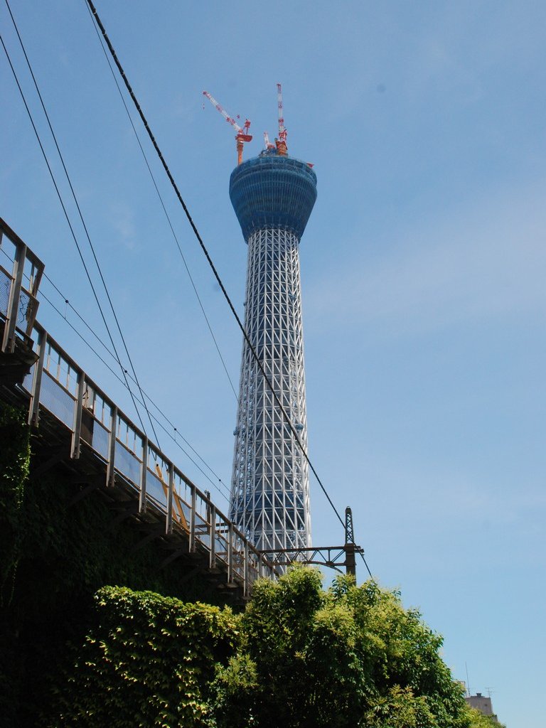 sncEXJCc[(398m) - ii{j - ʐ^f - ݃{
