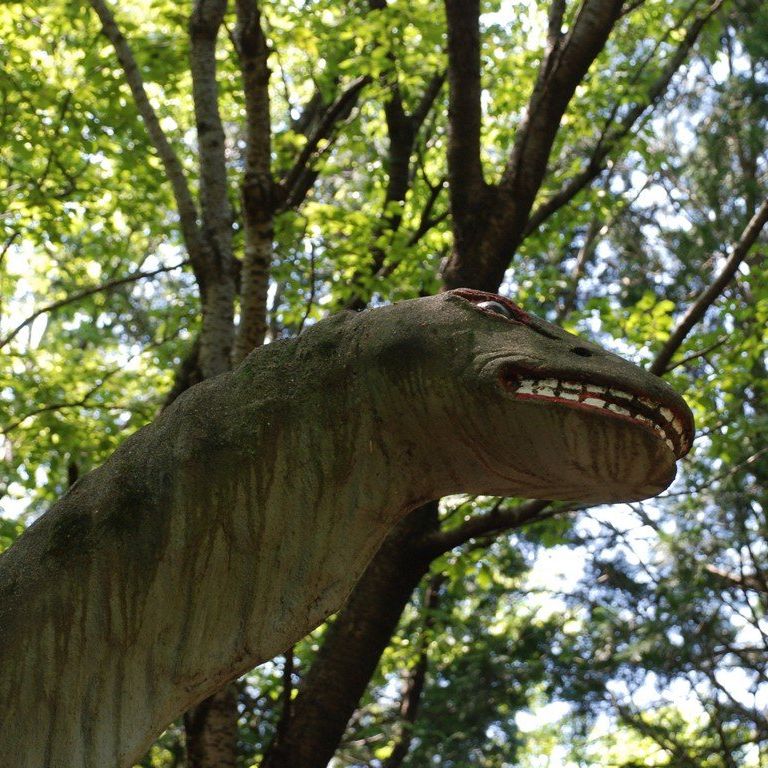 ʌRsEʌǂR - ii{j - ʐ^f - ݃{