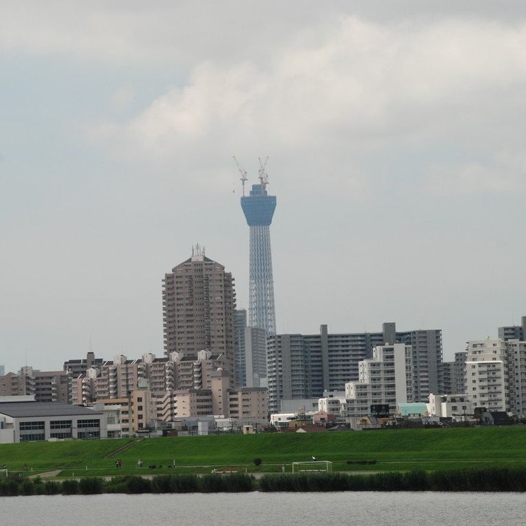 sEr쉈猩XJCc[(398m) - ii{j - ʐ^f - ݃{