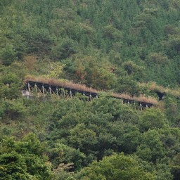 甲府市・勝沼ぶどう郷