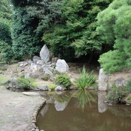 甲府市・大善寺