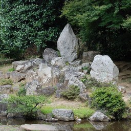 甲府市・大善寺