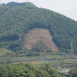 甲府市・勝沼ぶどう郷