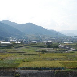甲府市・勝沼ぶどう郷