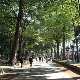さいたま市・大宮氷川神社