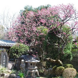 川口市・興禅院
