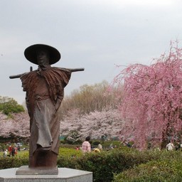 さいたま市・見沼氷川公園