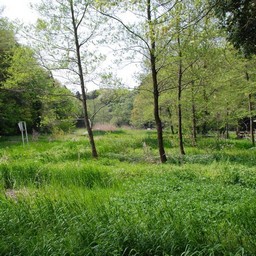 市川市・大町自然公園