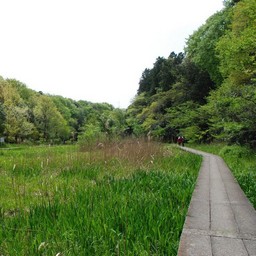 市川市・大町自然公園