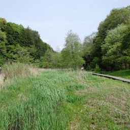 市川市・大町自然公園