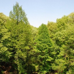 東松山市・動物自然公園
