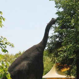 東松山市・動物自然公園