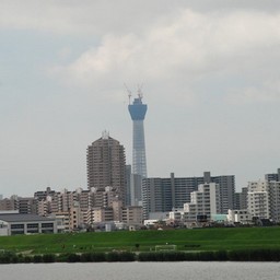 東京都葛飾区・スカイツリー
