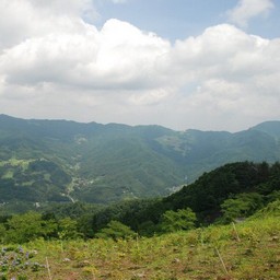 埼玉県皆野町・美の山公園