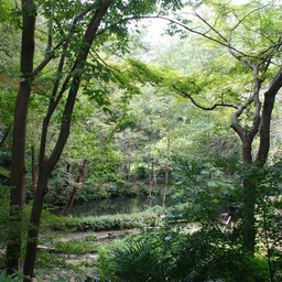 市川市・自然観察園