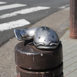 吉川市・なまず