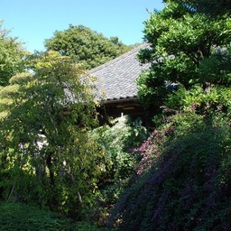 松戸市・栄松寺