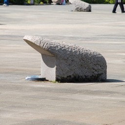 松戸市・21世紀の森と広場